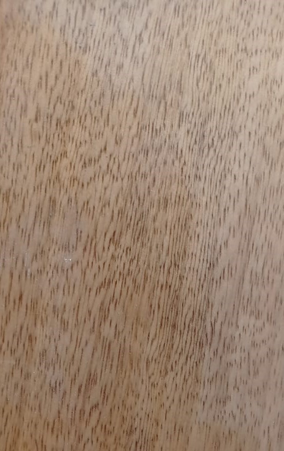 Sapelli
