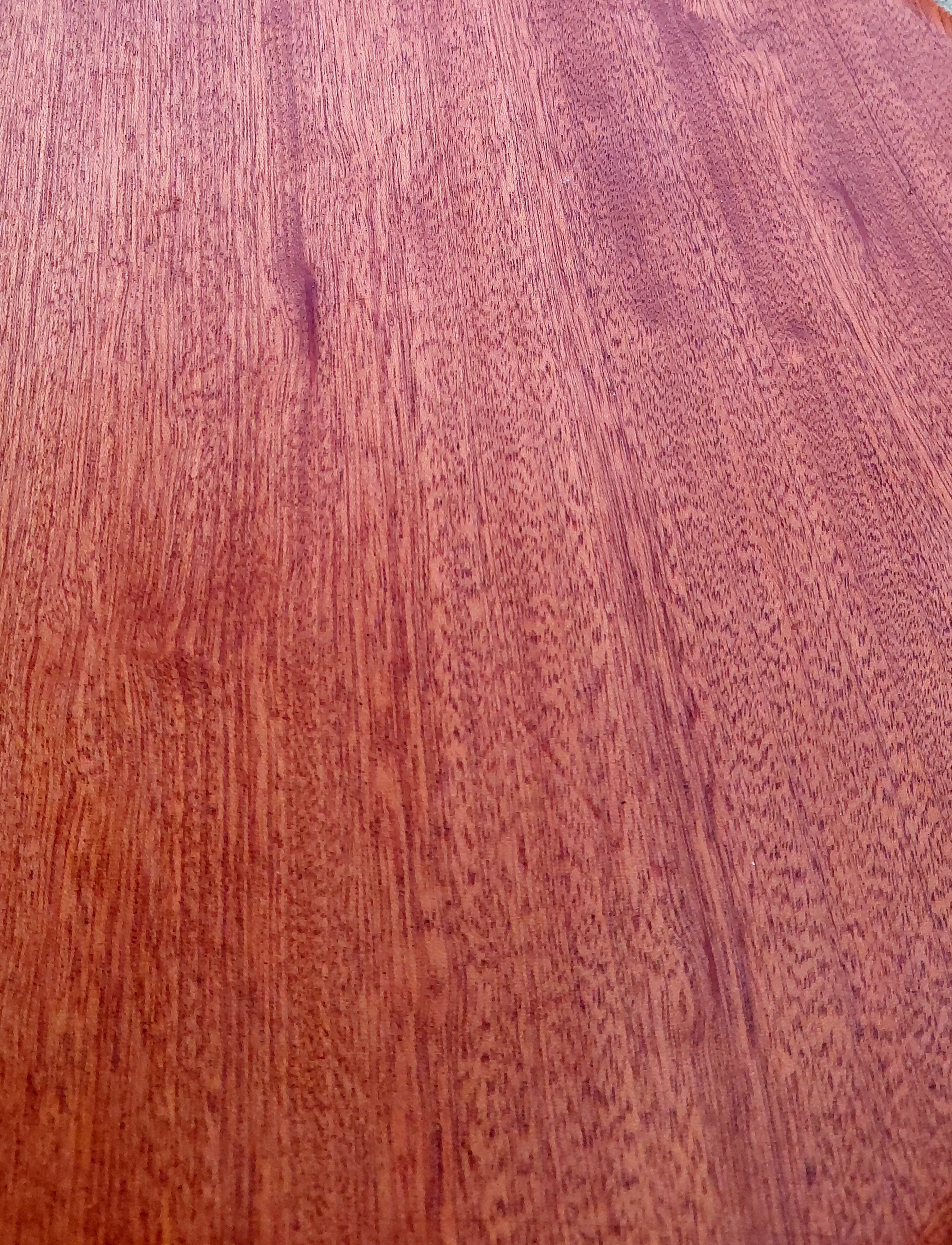 Sapelli